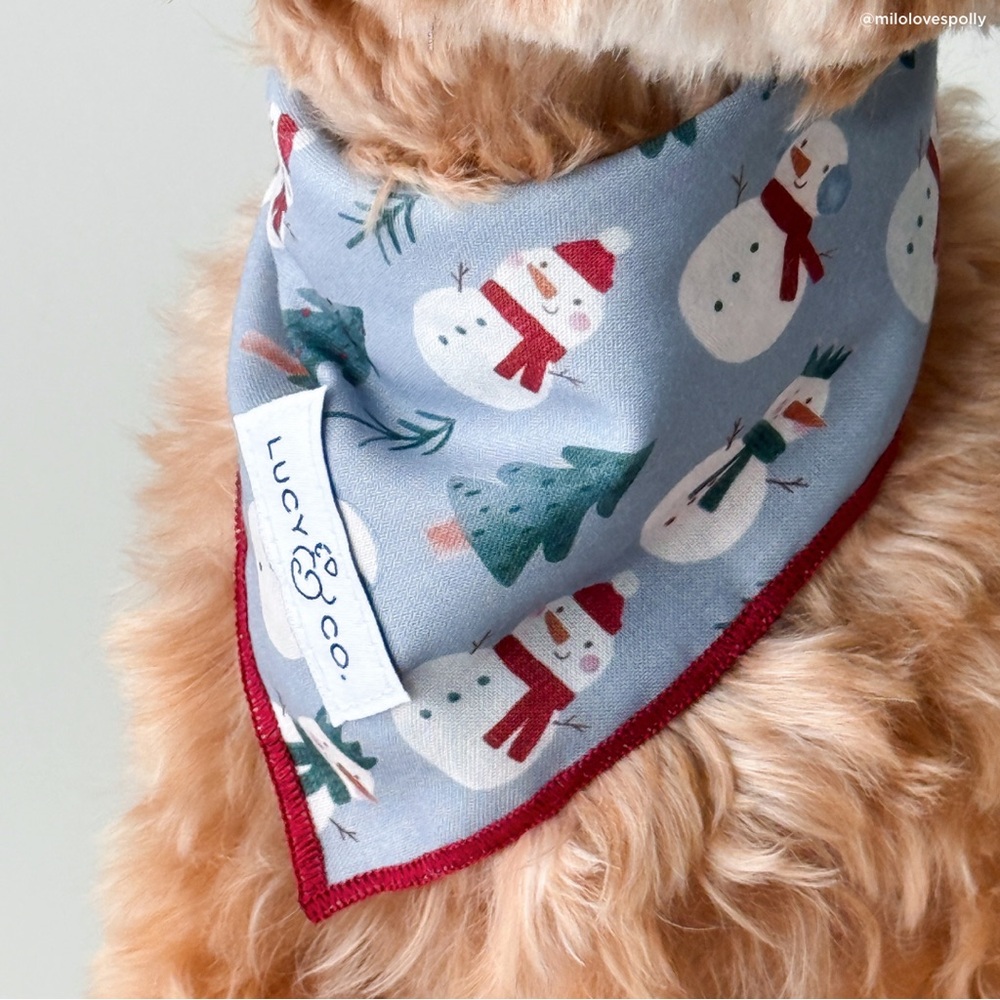 NWT - Lucy & Co Dog Bandana - S - Holiday
